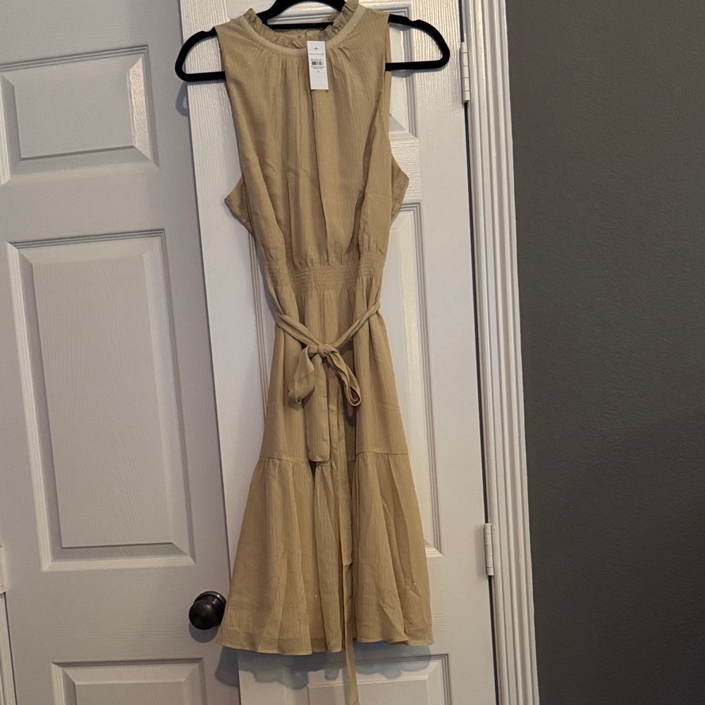 Ann Taylor Beige Midi Dress